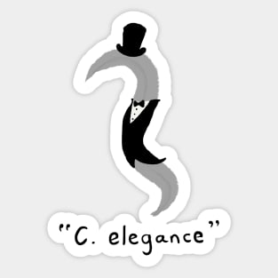 C. elegance Sticker